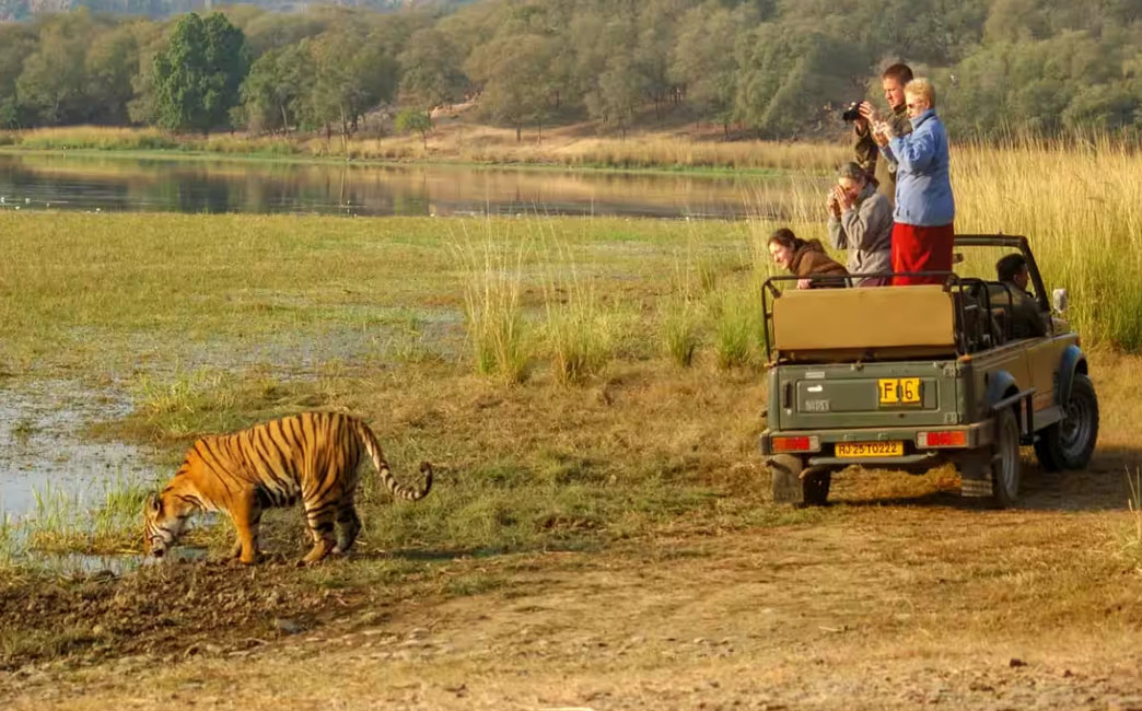 Ranthambore